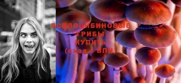 PSILOCYBIN Навашино