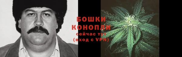 молекула духа Надым