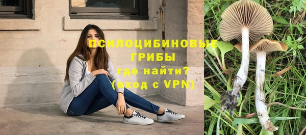 jwh Михайлов