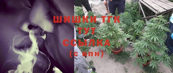 PSILOCYBIN Навашино