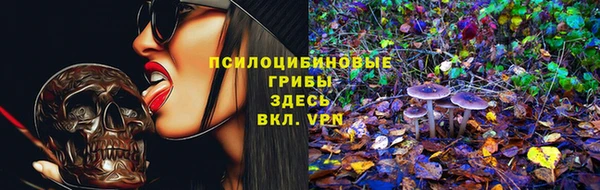 spice Михайловка