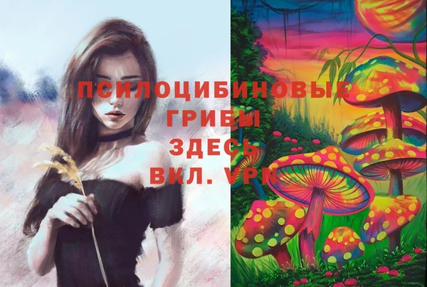 spice Михайловка