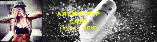 молекула духа Надым