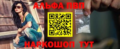 кокс Гатчина