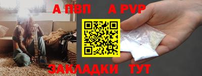кокс Гатчина