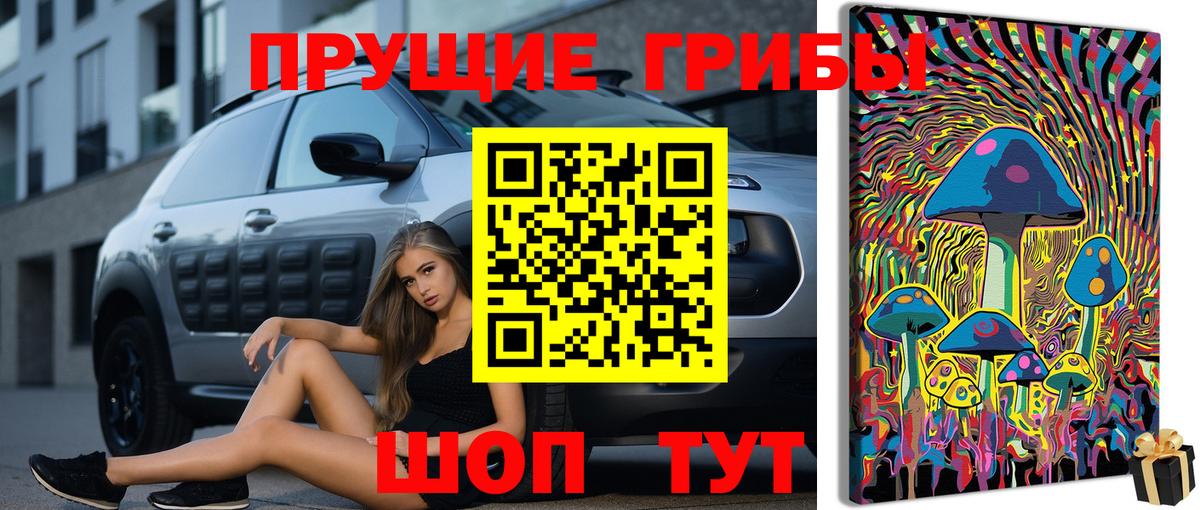 Чусовой  Псилоцибиновые грибы прущие грибы  Вход с VPN  Псилоцибиновые грибы ЛСД 